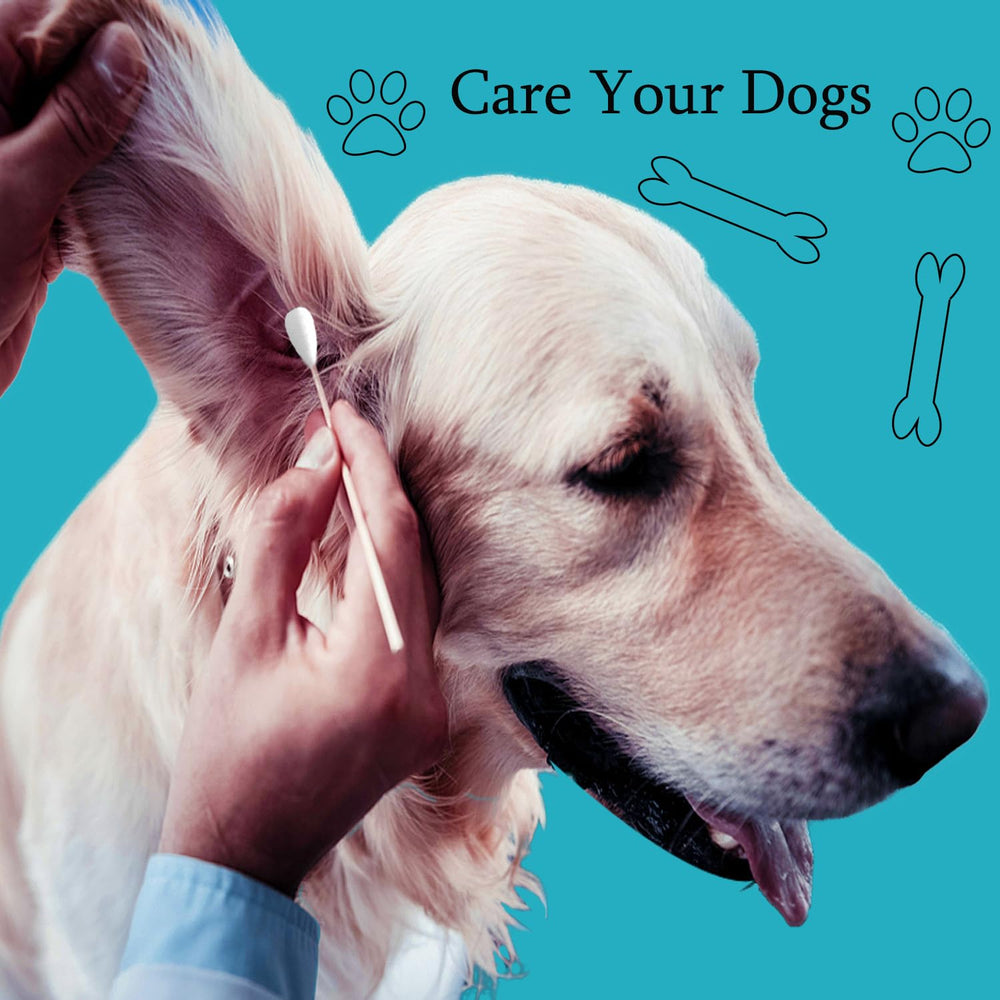 Quanzhou Chenchenchen tige utilisée pour nettoyer oreille de chien avec contrôle