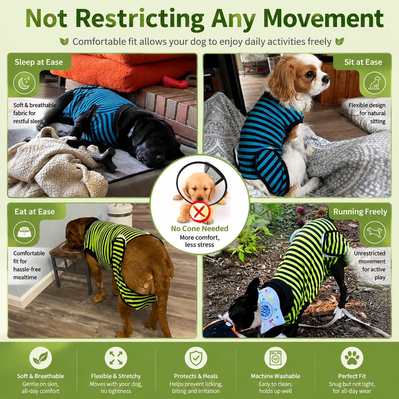 QUEARN chien portant la tenue libre de mouvement et serein
