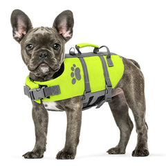 Queenmore gilet devant petit chien offrant sécurité et maintien