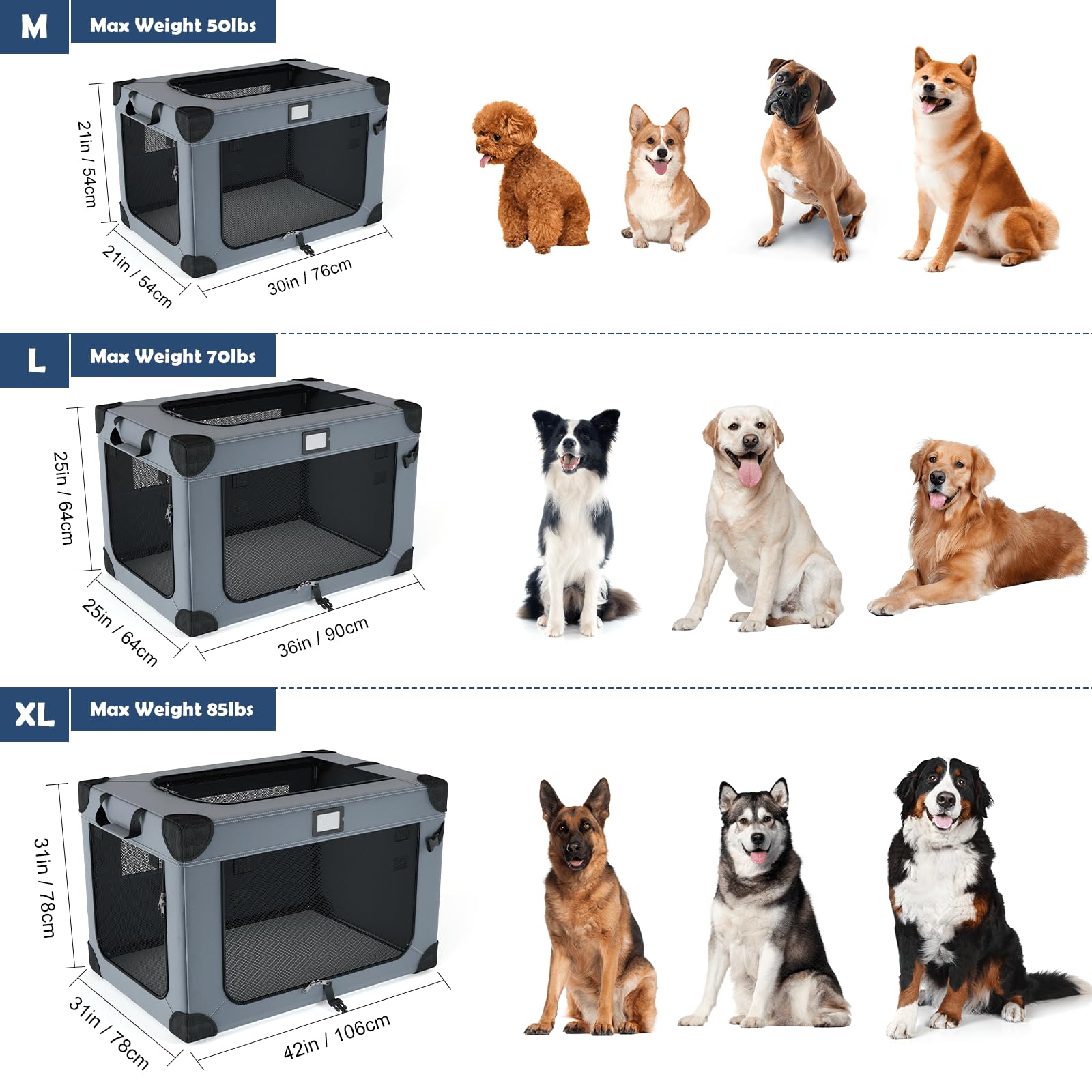 QUIBBLICK comparaison taille avec chien illustrant capacité et échelle
