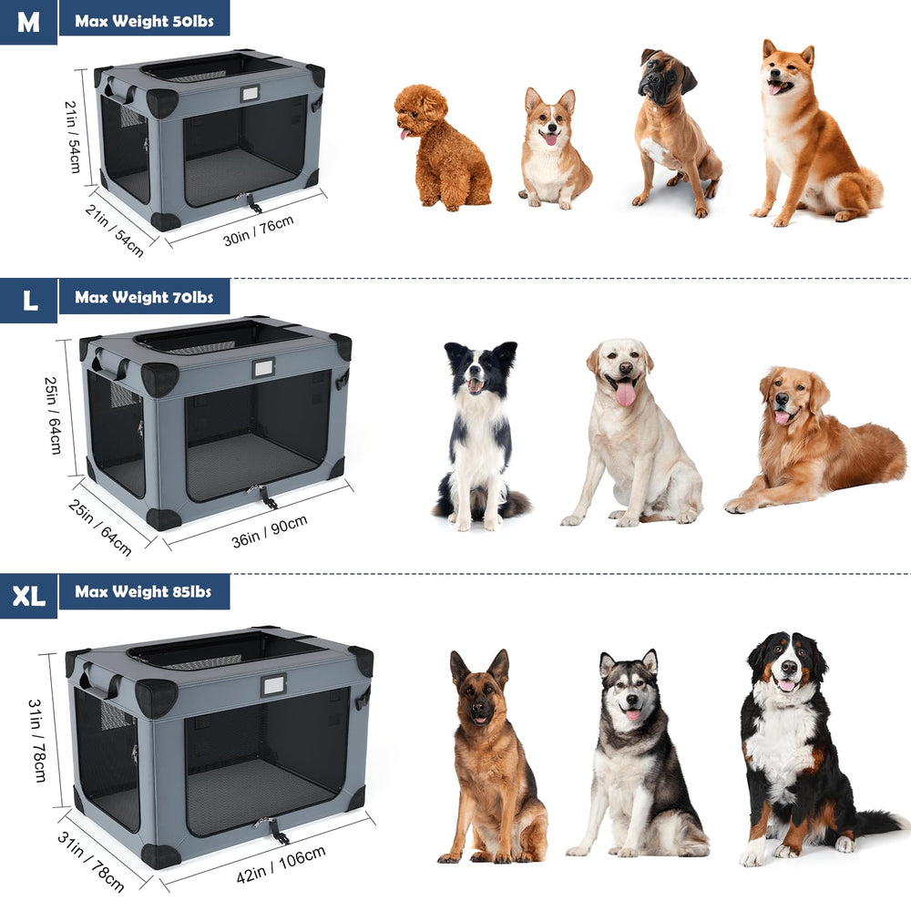 QUIBBLICK comparaison taille avec chien illustrant capacité et échelle