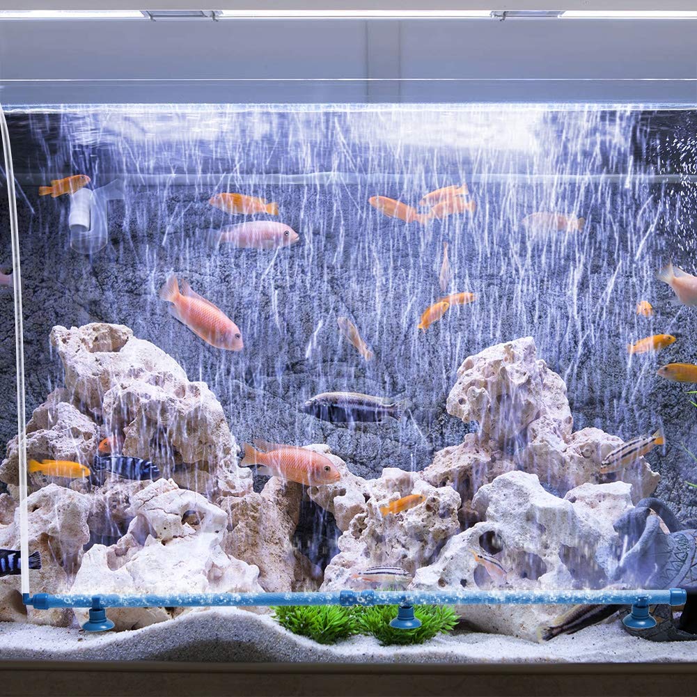Quickun dans scène de vie d'aquarium valorisant décor et mouvement de l'eau