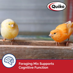Quiko mélange humidifié en pâte pour une consommation facile des oiseaux