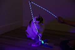 Quirky Kitty baguette en action avec chat sautant pour exercice actif