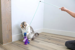 Quirky Kitty échelle taille comparée à une main pour indication d'échelle