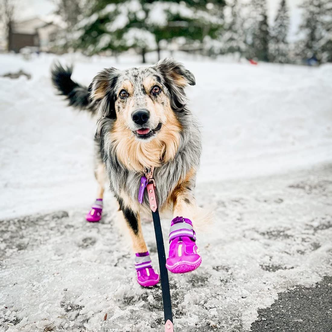 QUMY comparaison d'échelle pour choisir la bonne taille