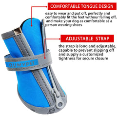 QUMY bottines enfilées sur chien pour confort et protection