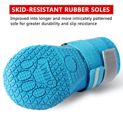 QUMY bottines portées sur chien protégeant pattes en promenade