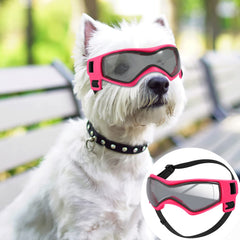 QUMY lunettes pour chien vue avant montrant maintien confortable