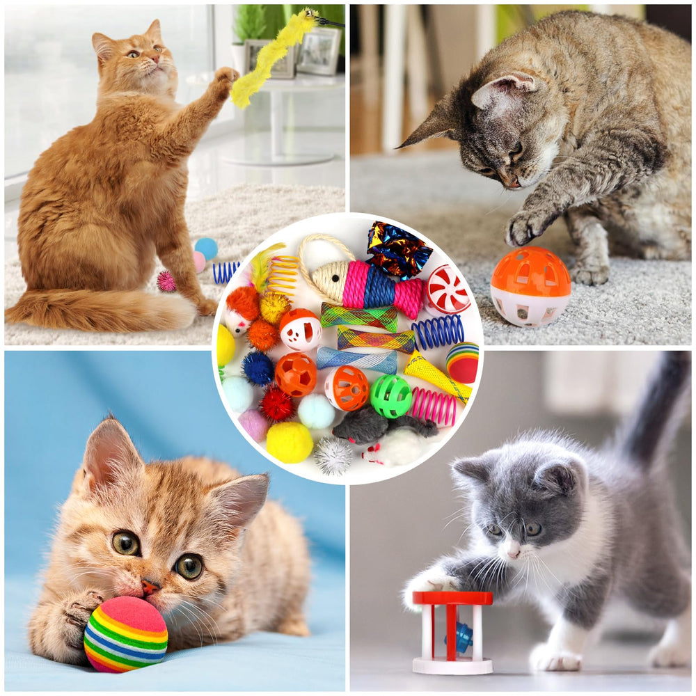 QUOZUO scène salon chat jouant avec jouets, maintien actif et divertissement