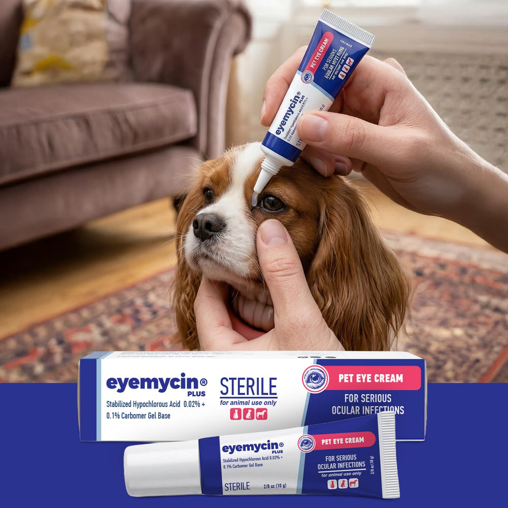 QUQU Natural EYEMYCIN en environnement de toilettage pour routine quotidienne