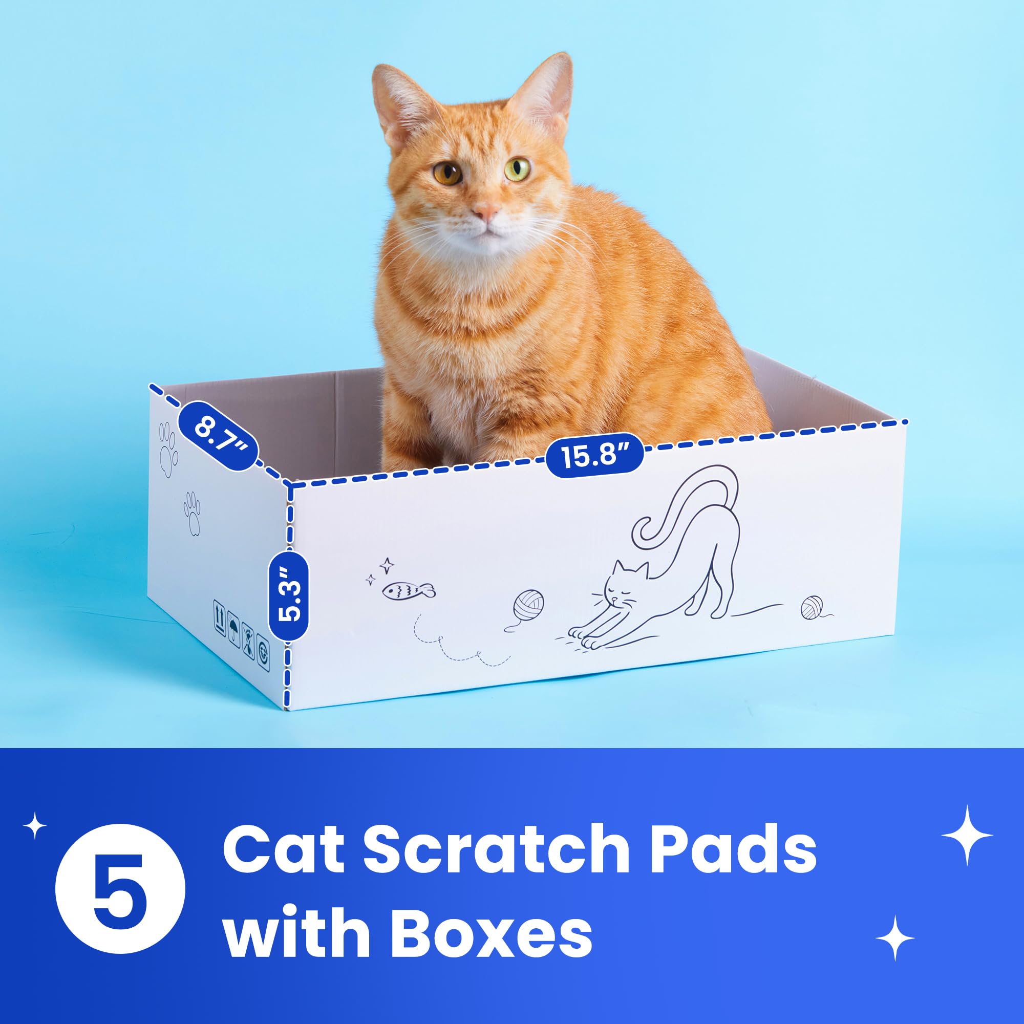 Quuzee gros plan sur la texture du carton durable et résistante