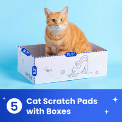 Quuzee gros plan sur la texture du carton durable et résistante