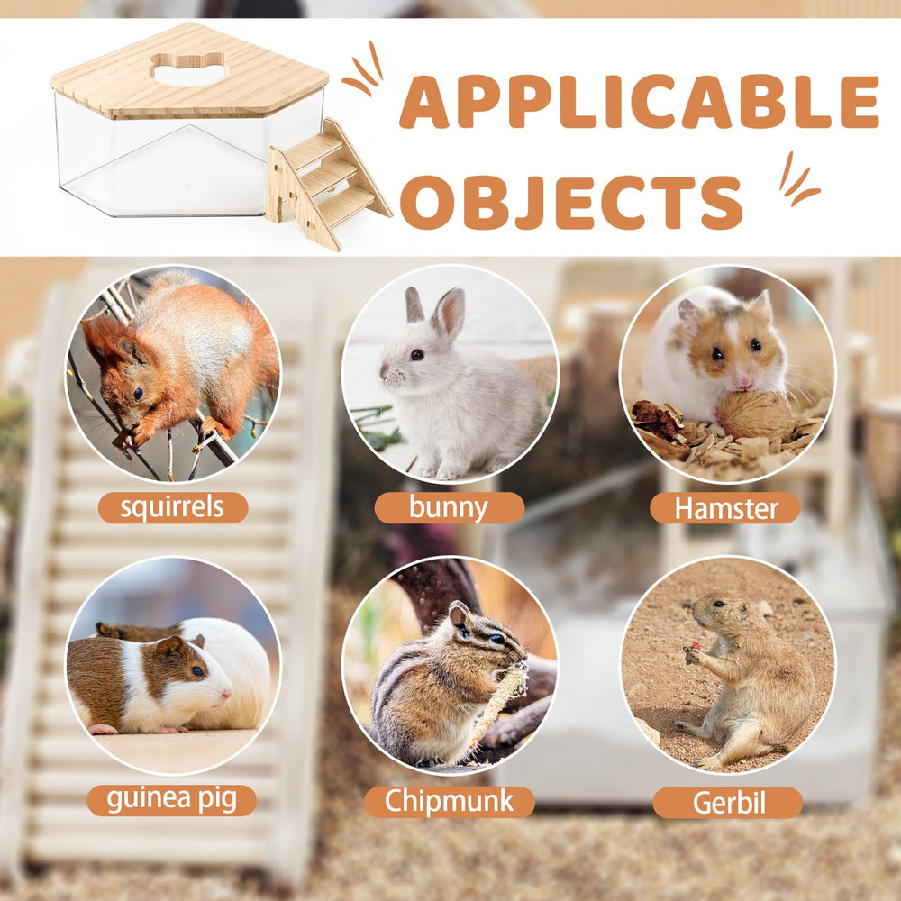Quxddy hamster utilisant le bac pour creuser et se divertir sainement