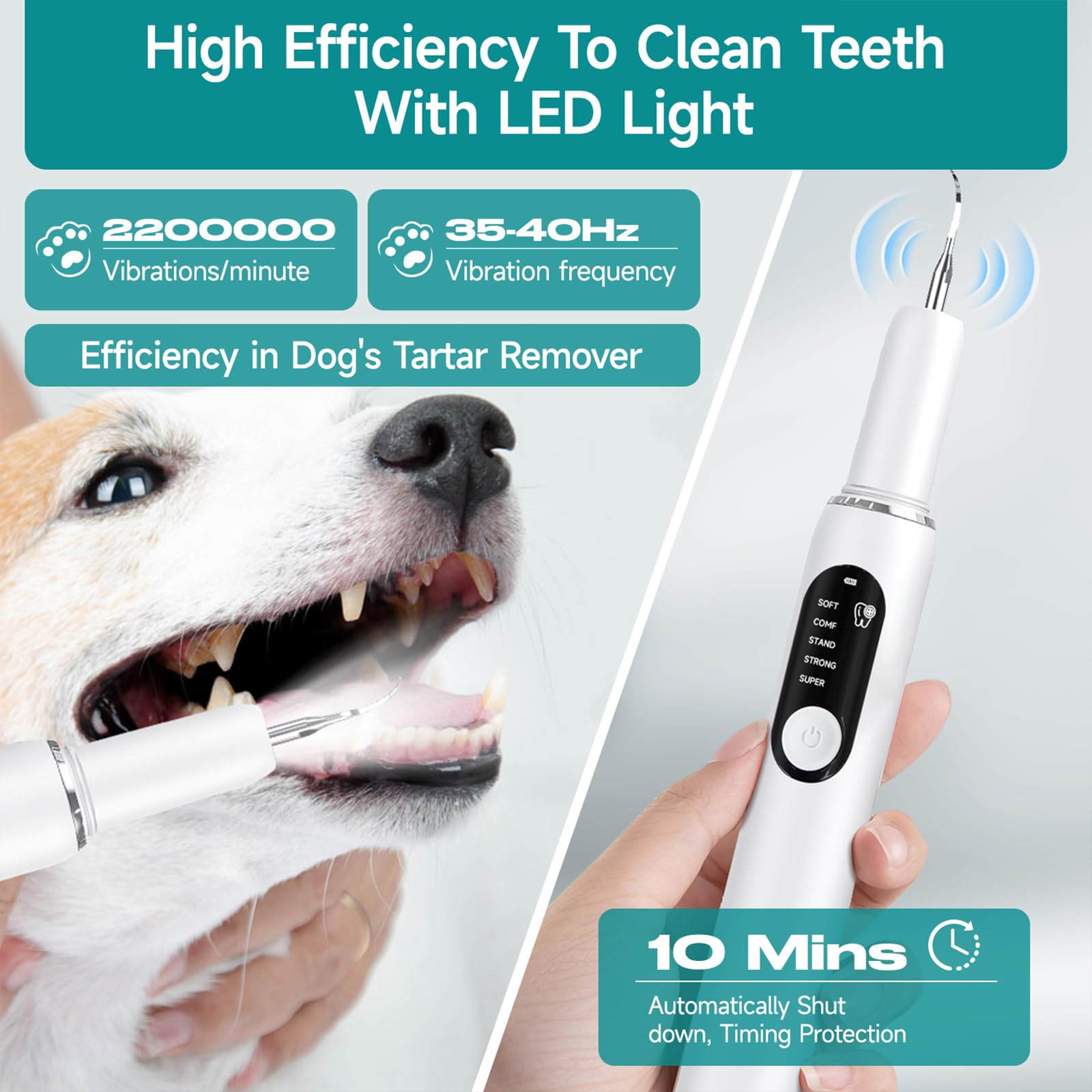 QVKHPCL LED éclairant la bouche d’un chien, meilleure visibilité pour un soin sûr