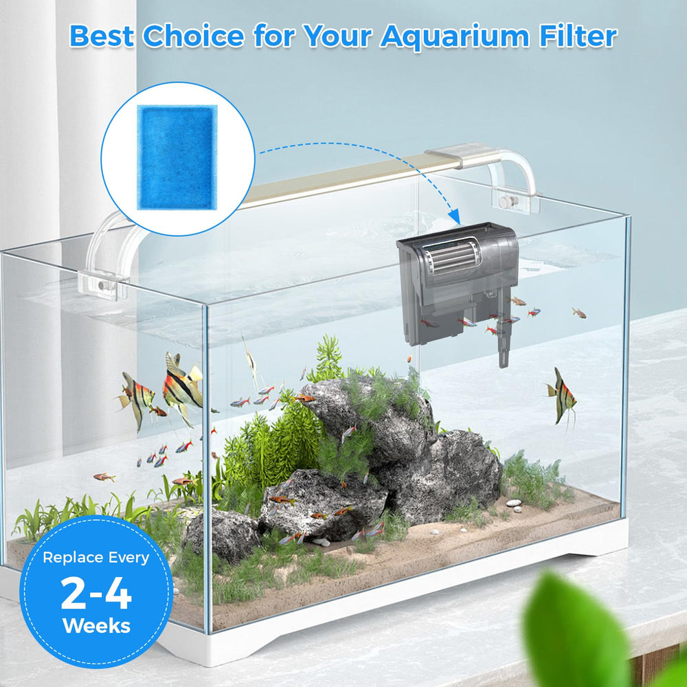 Qwakay dans un aquarium en situation lifestyle améliore visuellement l'eau