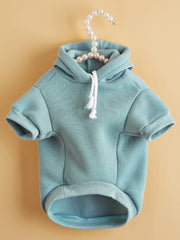 QWINEE hoodie porté par un petit chien en sortie, confort et liberté