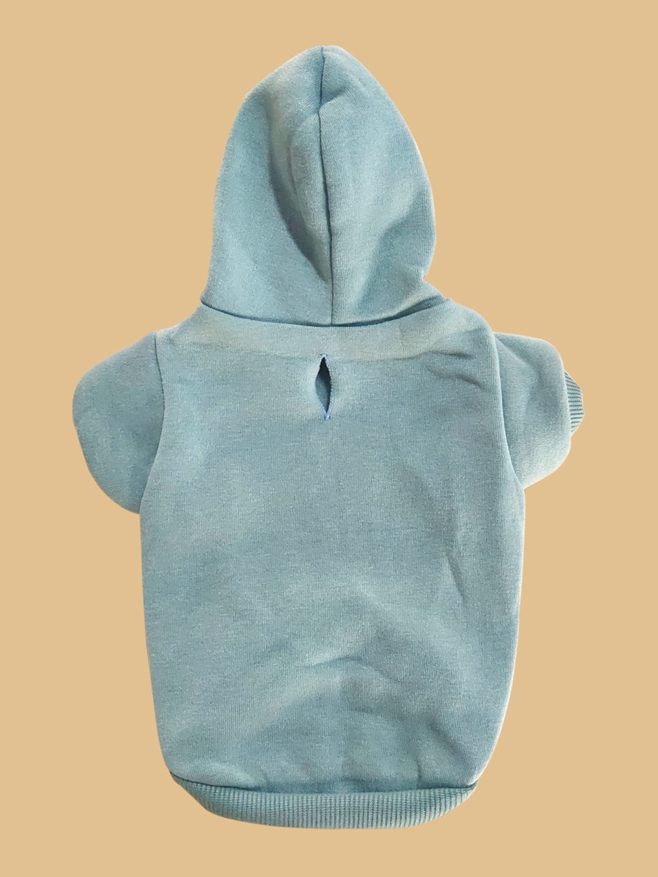 QWINEE visualisation taille sur petit chien pour choix facile