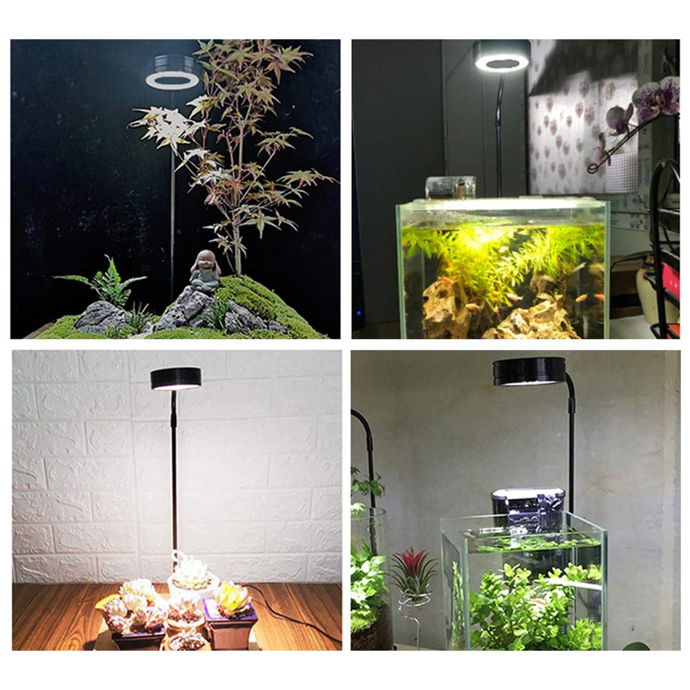 QWLWBU gros plan des LED et surface, diffusion lumineuse uniforme bénéfique