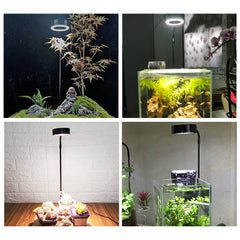 QWLWBU gros plan des LED et surface, diffusion lumineuse uniforme bénéfique
