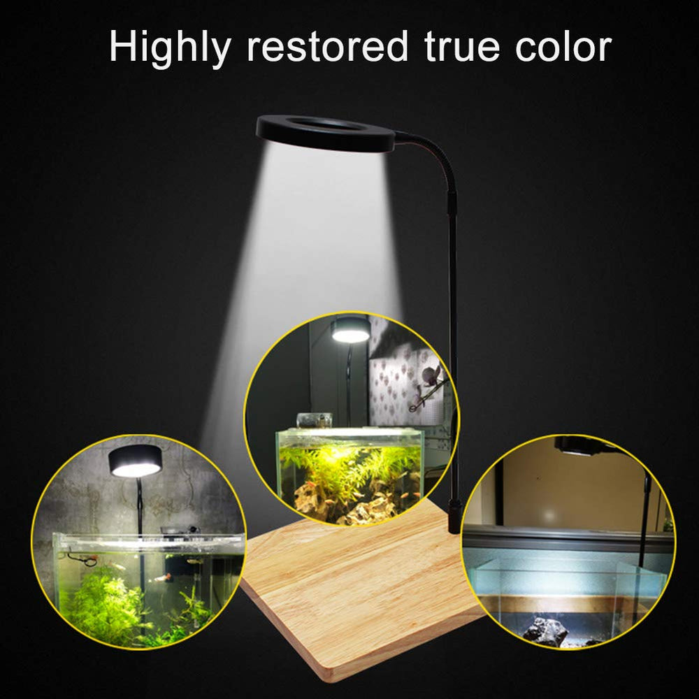 QWLWBU lampe installée en intérieur, crée une ambiance végétale chaleureuse