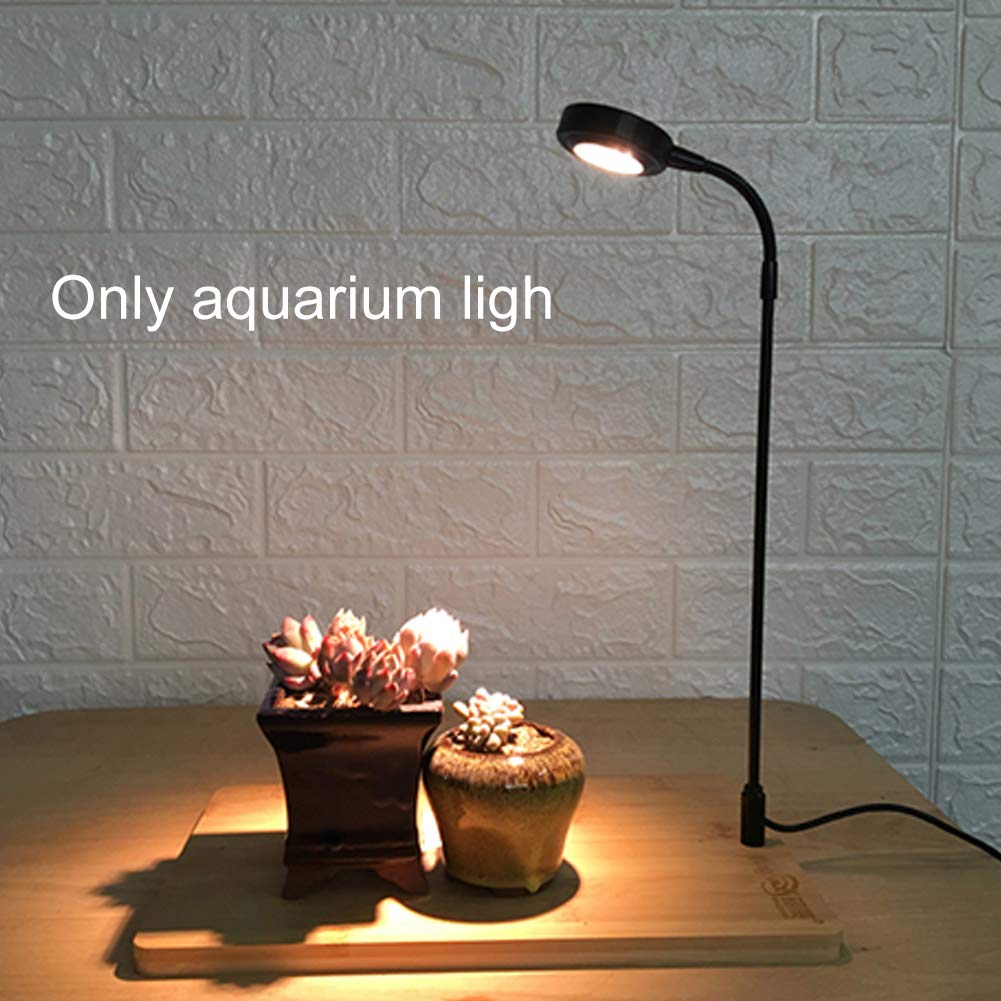 QWLWBU socle en bambou et fixation, maintien stable et design naturel