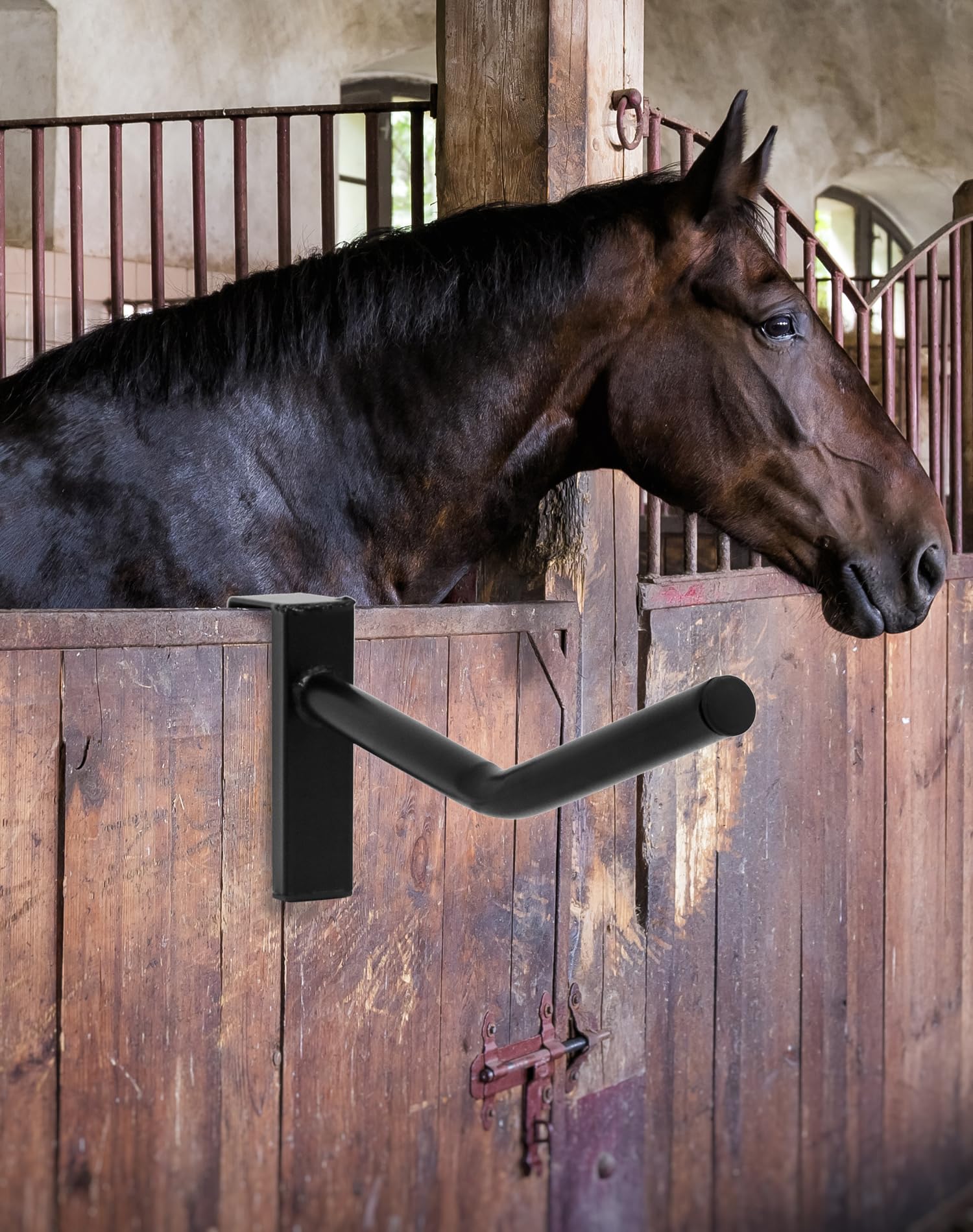 QWORK comparaison de taille du support avec une selle standard