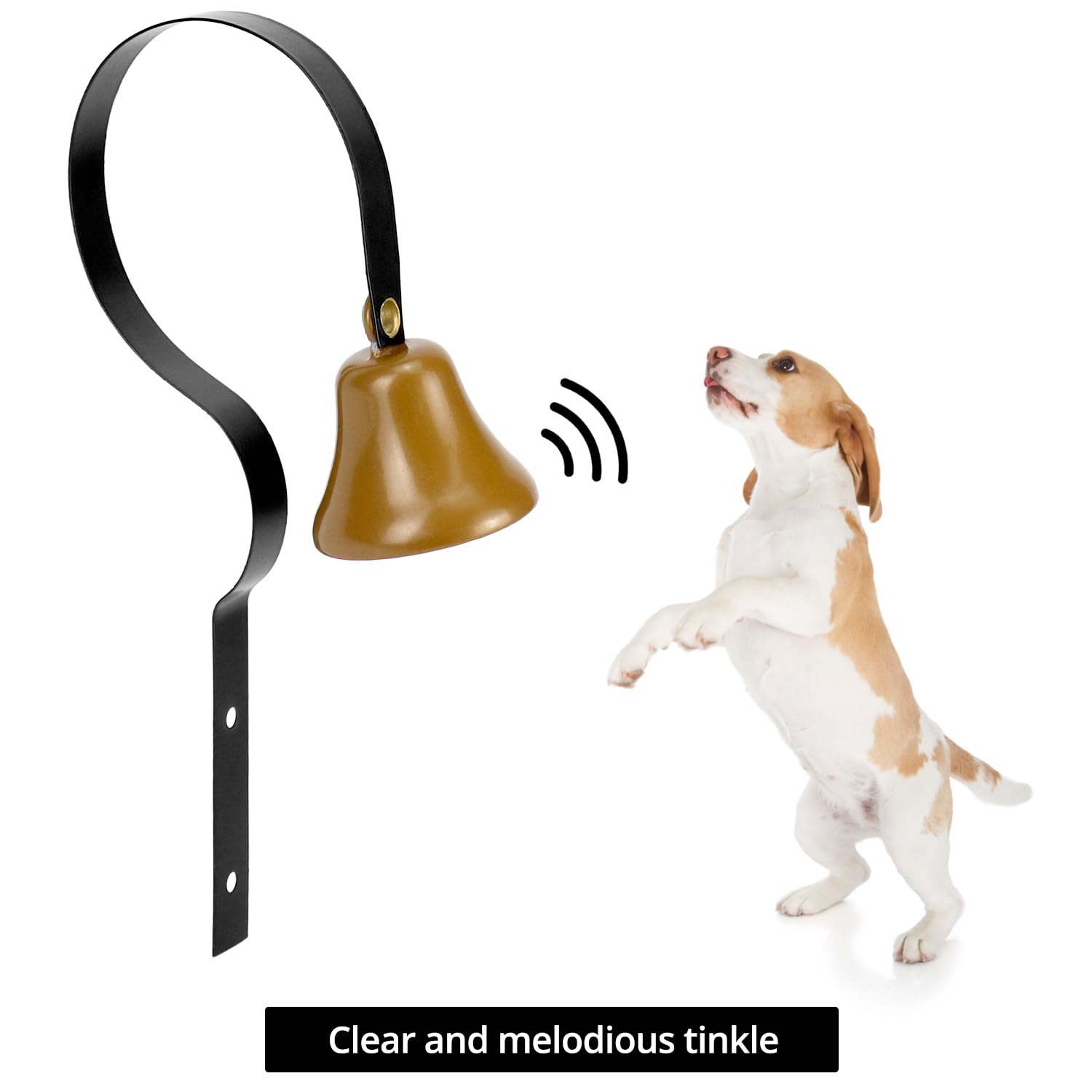 QWORK chien apprenant à sonner, outil d'entraînement efficace
