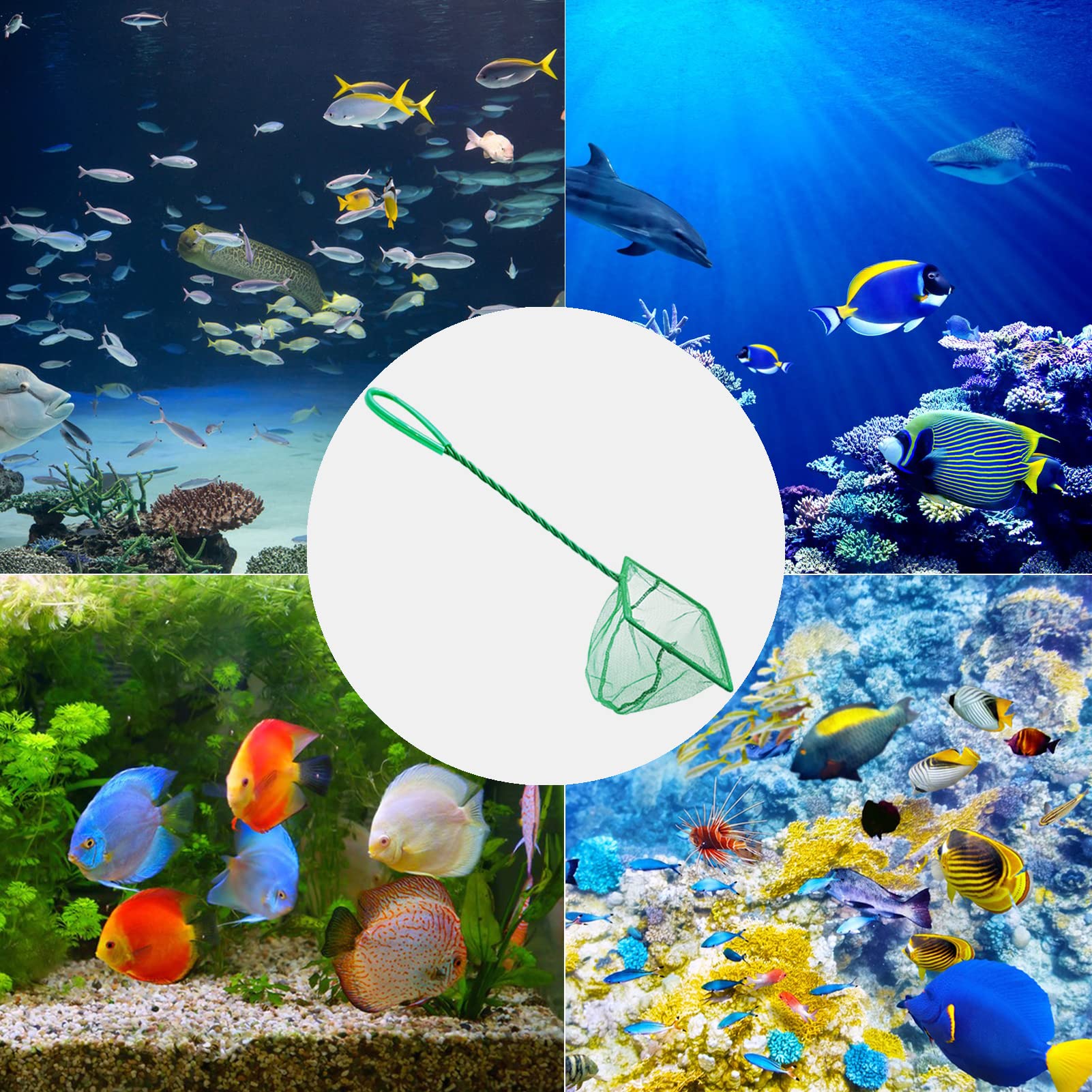 QXBXYHM filet 3" utilisé pour alevins, précision et sécurité des petits poissons