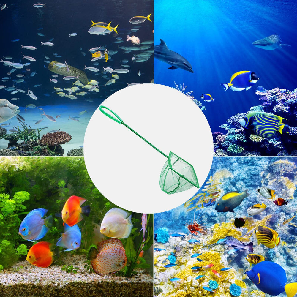 QXBXYHM filet 3" utilisé pour alevins, précision et sécurité des petits poissons