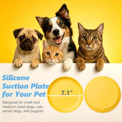 Qyeejong gamelle détail de la surface en silicone facile à nettoyer