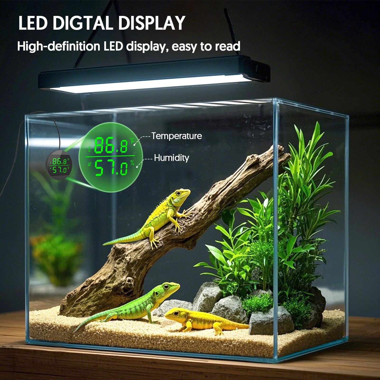 QZQ installé dans terrarium, permet surveillance continue de l'environnement