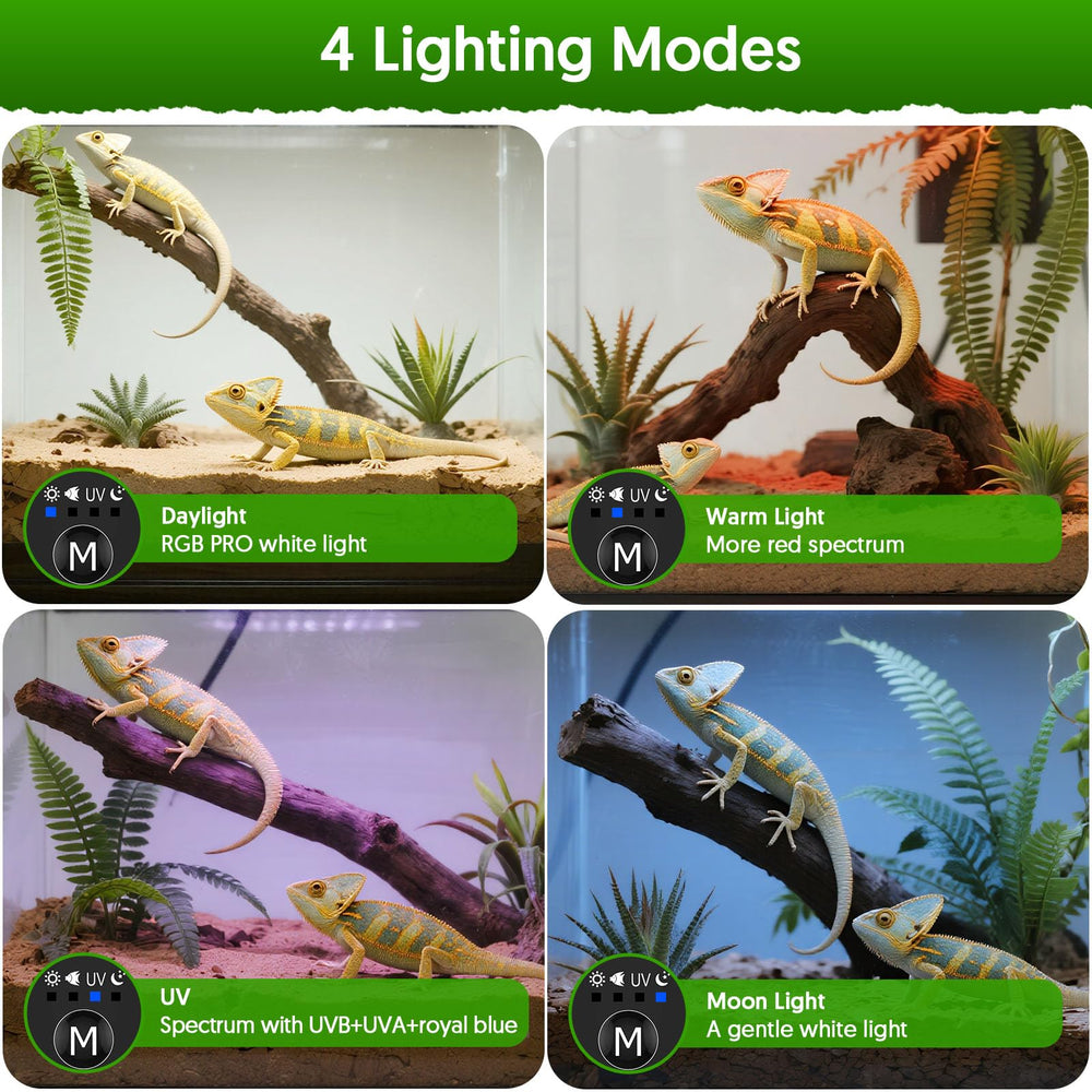 QZQ lampe installée dans terrarium pour observation et simulation naturelle