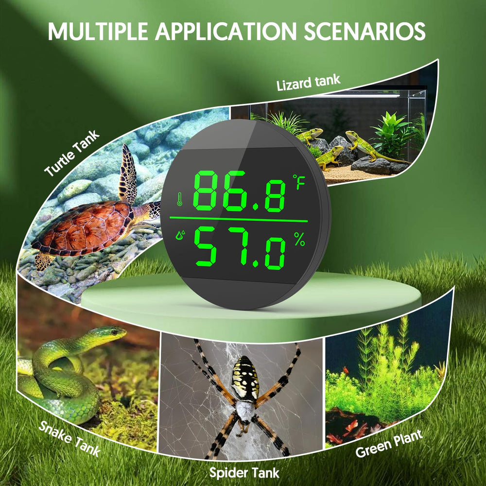 QZQ en situation avec caméléon, utile pour maintenir conditions adaptées
