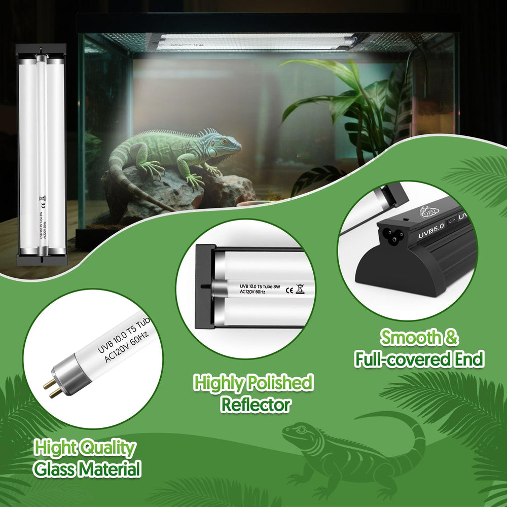 QZQ lampe en fonction au-dessus d'une zone basking encourage l'activité