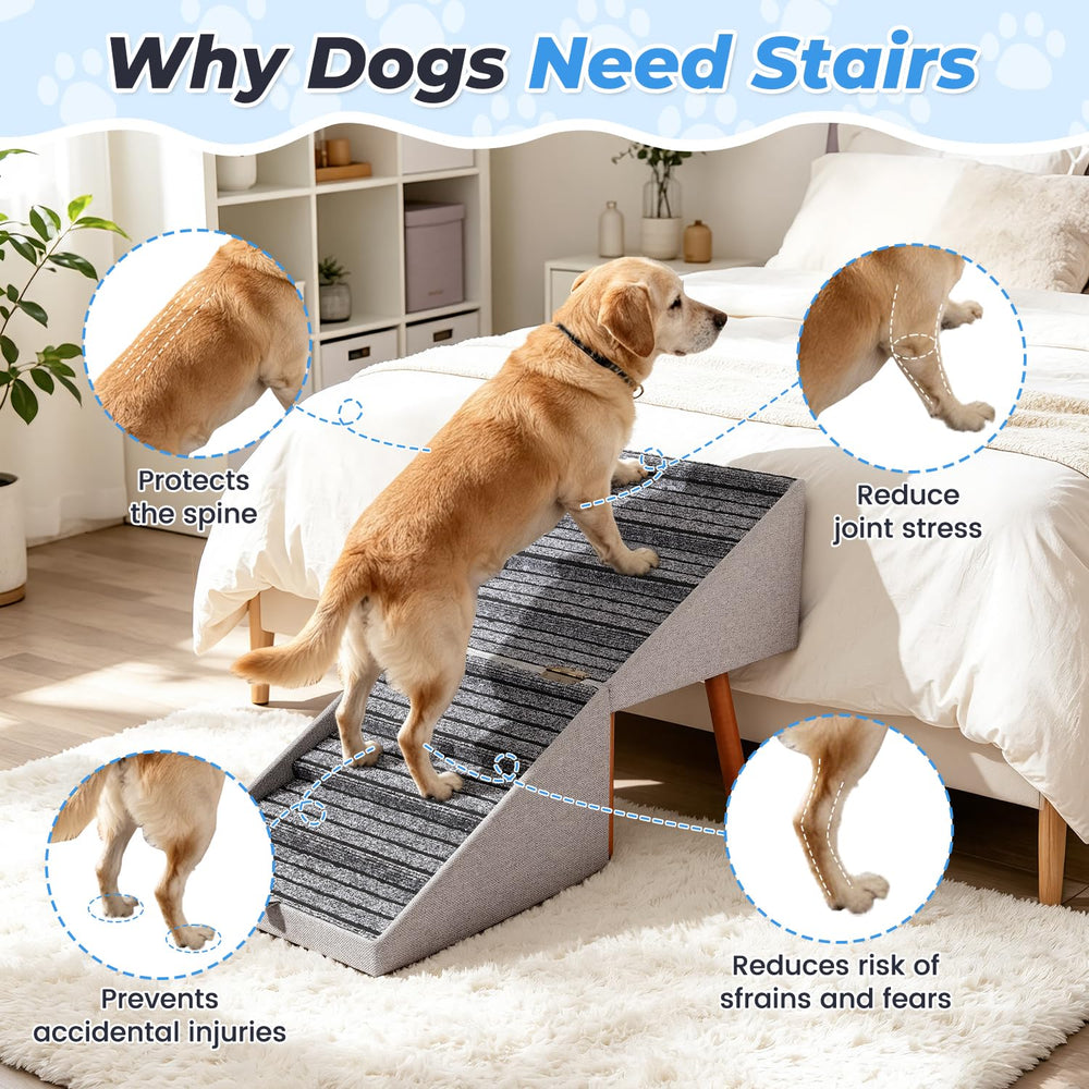 QZQZPS chien montant la rampe soulage les articulations