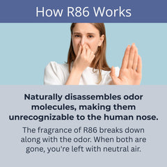 R86 spray DIY sur tapis élimine odeurs sans taches