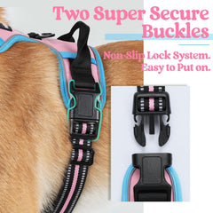 rabbitgoo anneau dorsal pour promenades détendues et joggings