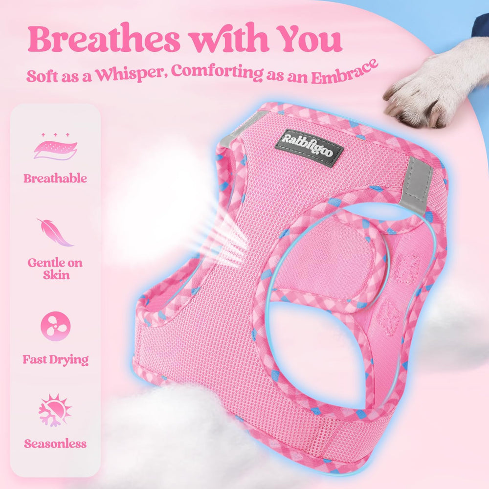 rabbitgoo détail boucle et velcro assurant fermeture sécurisée et ajustable