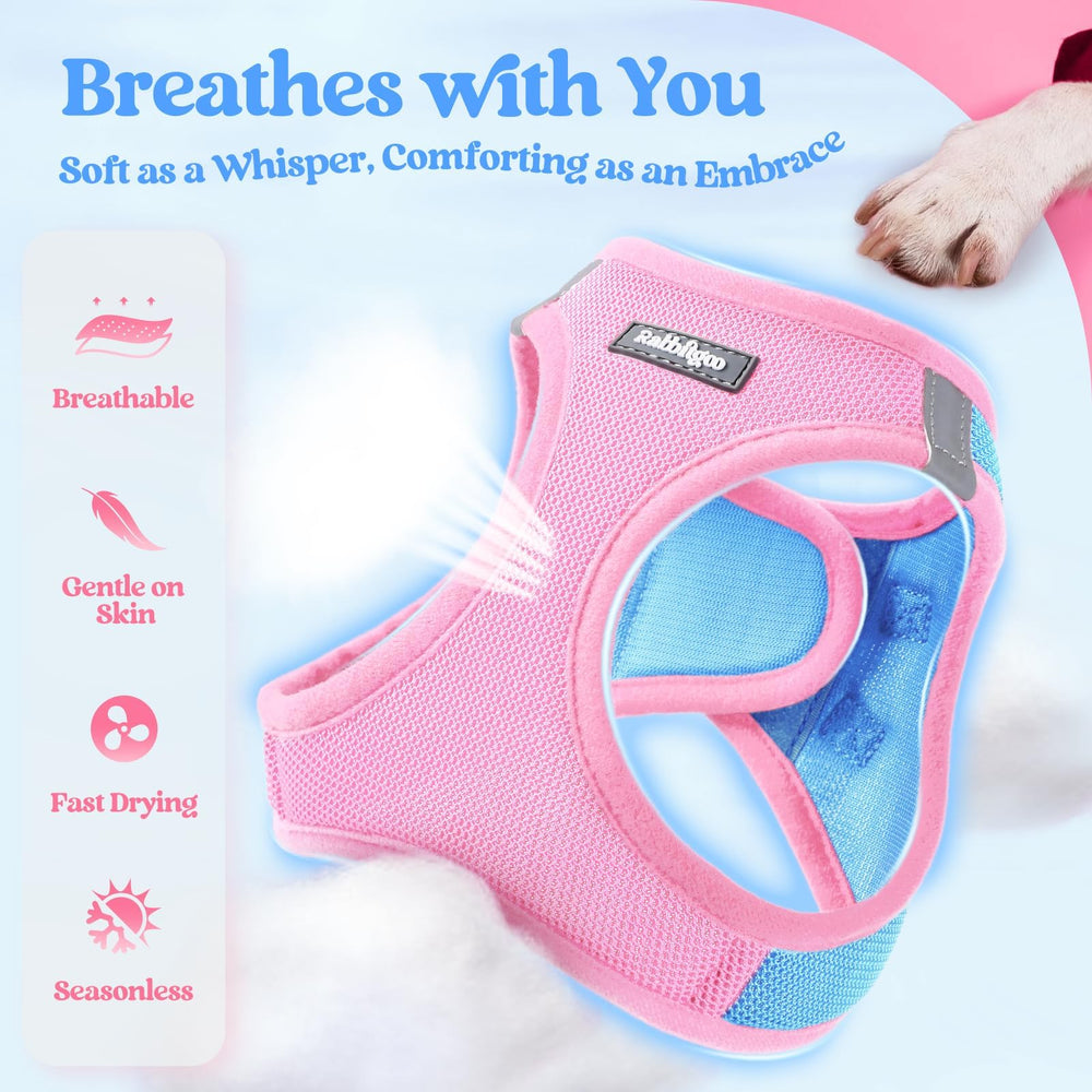 rabbitgoo détail boucle et velcro pour fixation sûre
