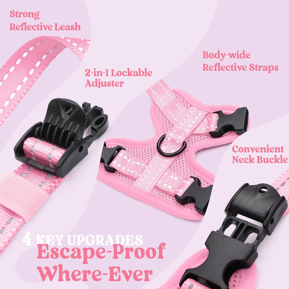 rabbitgoo boucles et fermoirs camm lock pour ajustement rapide