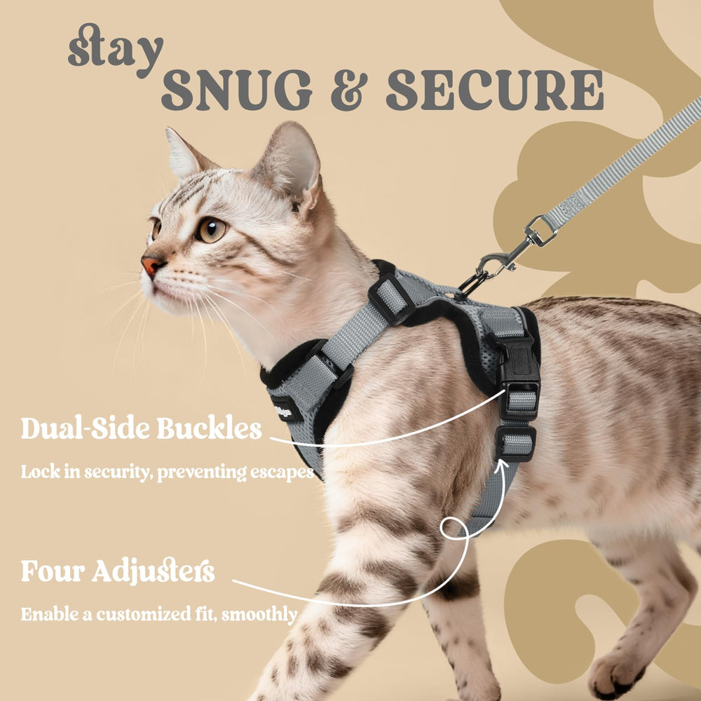rabbitgoo chat en promenade illustrant contrôle et liberté sécurisée