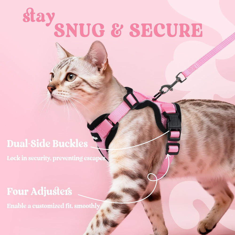 rabbitgoo comparaison tailles pour chatons et petits chats, ajustement simple