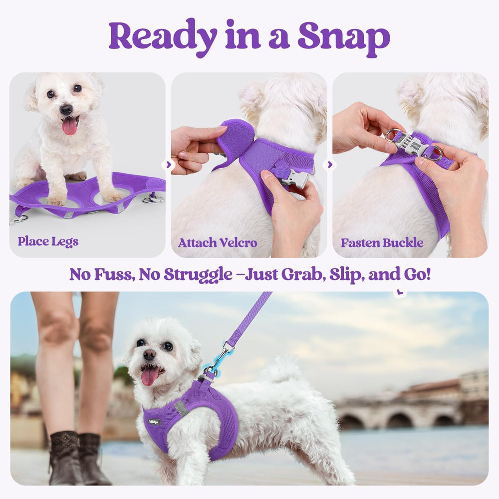 rabbitgoo guide de taille montrant mesure cou et poitrine pour ajustement