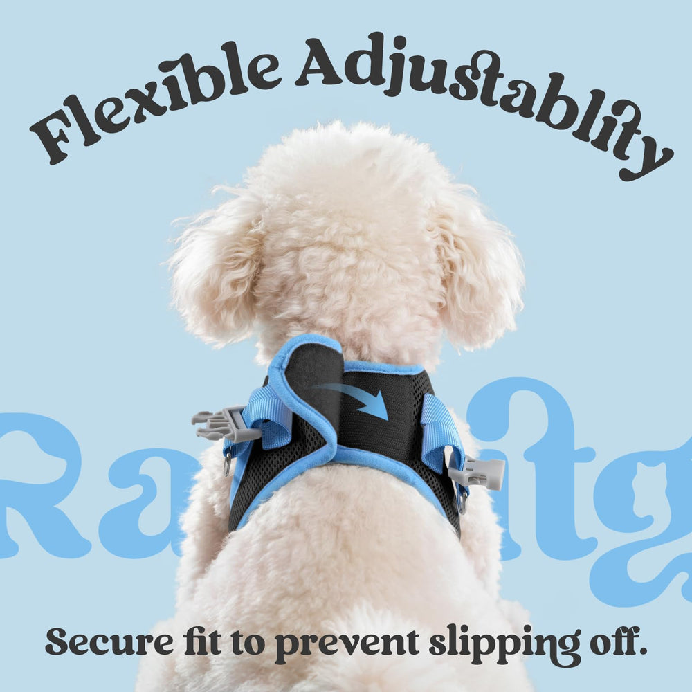 rabbitgoo harnais XS posé sur règle pour vérification des dimensions