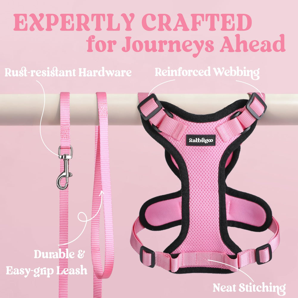 rabbitgoo comparaison taille montrant ajustement pour petit chat