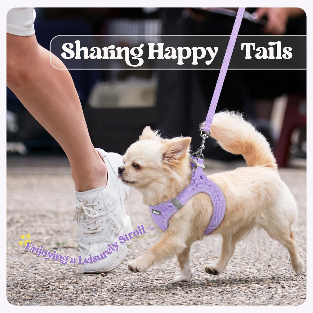 rabbitgoo tableau de taille comparatif facilitant le bon choix
