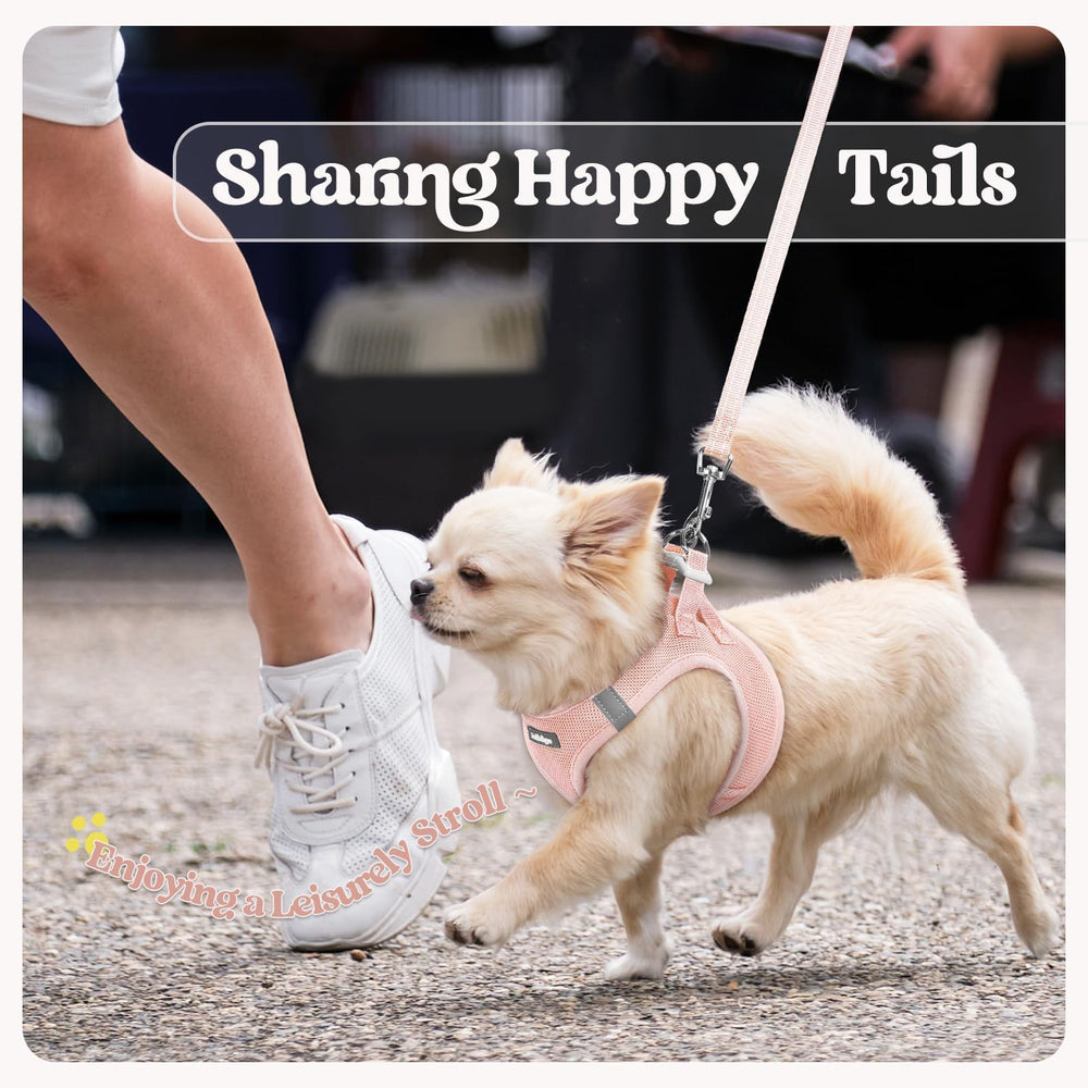 rabbitgoo guide de taille comparant harnais et silhouette du chien