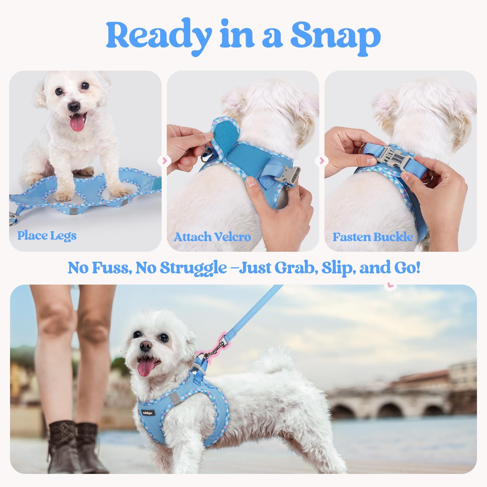 rabbitgoo guide de taille montrant ajustement pour petit chien