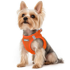 rabbitgoo gilet avant mis en valeur, protection confortable pour promenades